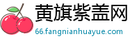 黄旗紫盖网